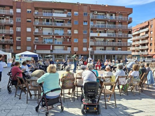 Festa Primavera (21/05/2025)